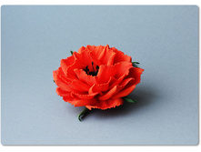 ������� ��� - �������