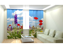 ��������� ���������� ����.jpg