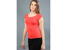 ��������  ����: 260 ������