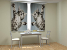 ������� �������.jpg