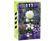 ��������� ����� � ����� ������� 391.jpg