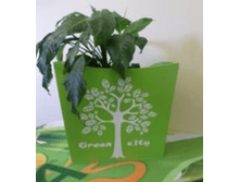 ����� Green city