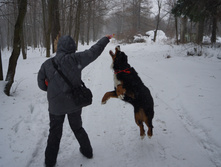 DSC02624.JPG