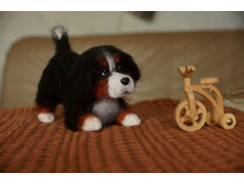 5 ������ 4.jpg