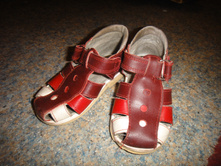 ������� �����������