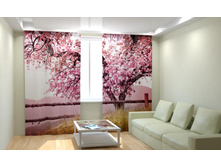 ��������� ����������� ������.jpg