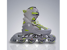 ������ ���������� Larsen Flash V �������