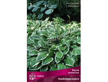 ����� ��������� ��������������.jpg