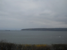 ��� �� ����