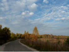 P1160993.JPG