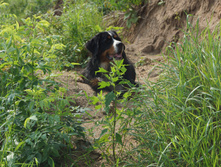 DSC01228.JPG