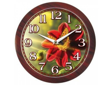 ���� 4388053.jpg