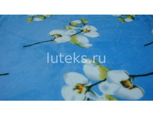 ��� � ������ - �� 40