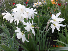 DSC00312.JPG