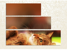 F099 110�80. 30�110, 25�90, 25�70.jpg