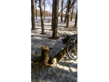 �������� 032.jpg