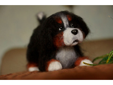 5 ������ 2.jpg