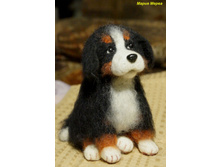 ���ף���� ������ 2.jpg