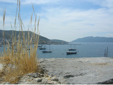 DSCN0354 - �����.JPG