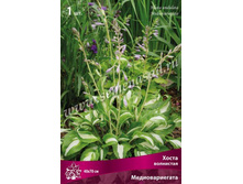 ����� ��������� ��������������.jpg