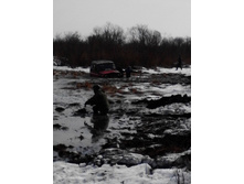 IMG_20150321_114656.jpg