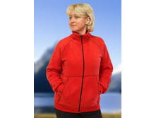 ������: K�-06