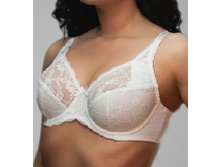 152042 ���. 509���.