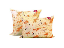 ������� ��������.jpg