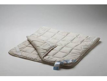 ������ � ������