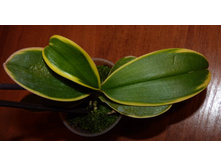 ���������� 4.JPG