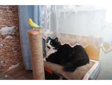 DSC06244.JPG