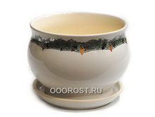 ������ ������  ��� ������� ���� 012-2-005.jpg