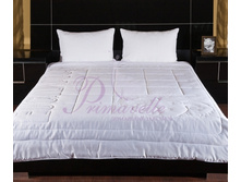 ������ Eucaliptus