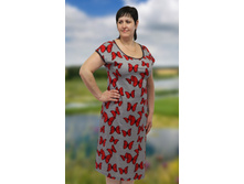 ������: ��-13