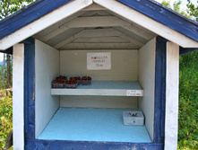 �������� 2014_159.jpg