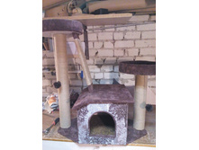 �������� "����"