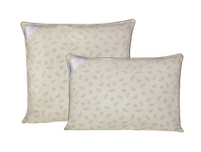 ���a �yxo���.jpg