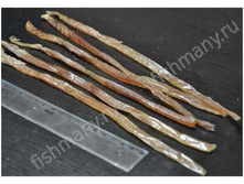 ����� ������� 420.jpg