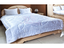 ������ Eucalyptus Premium