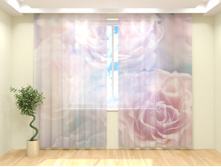 ��������� �����.jpg