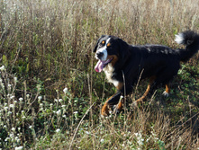 DSC01255.JPG