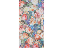 ������ ������� (�����) �����  ������