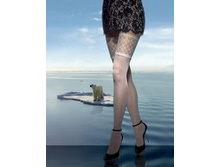 ����� "Oso Blanco"