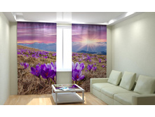 ��������� ������� �����.jpg