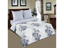 ������ ������.jpg