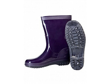 sapogi_rezinovie_chesla 1.jpg