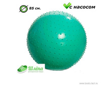 ���� 1496 ���.