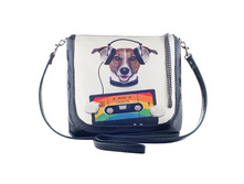 ����� ������ 'Disco Dog'.jpg