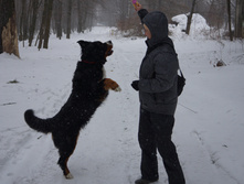 DSC02615.JPG