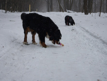 DSC02655.JPG